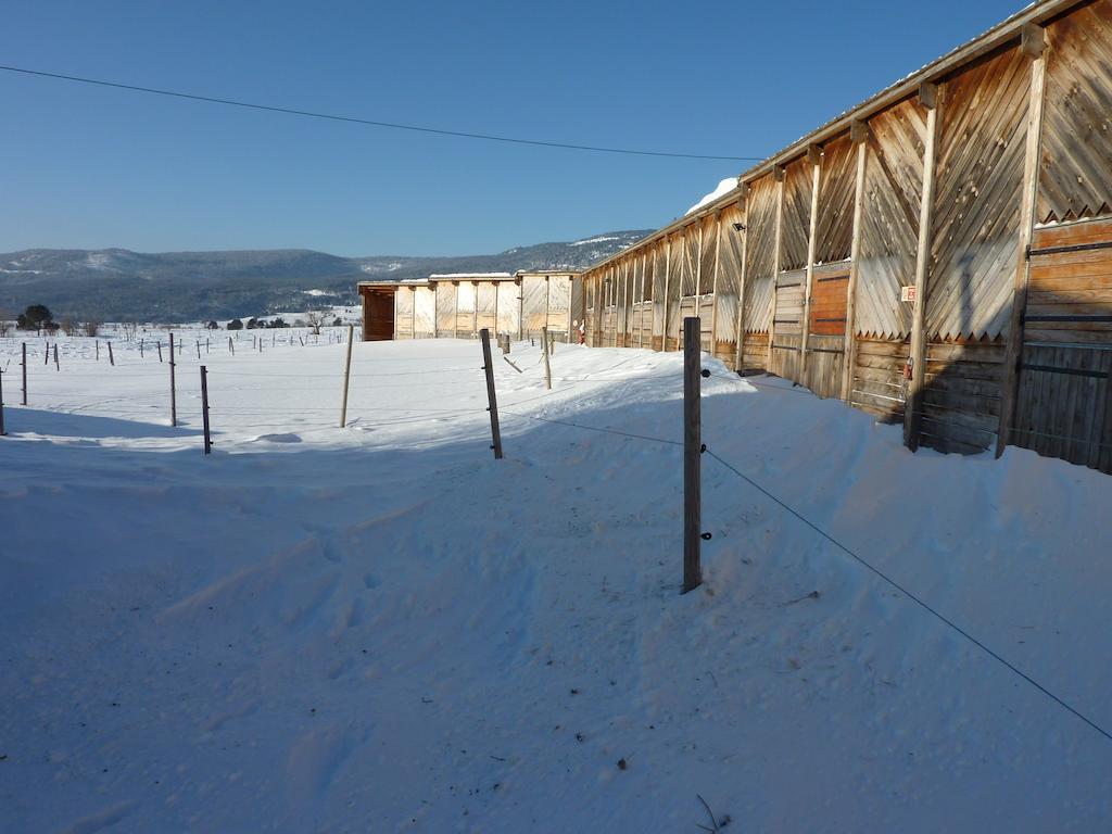 Gite Equisud - Demi-Pension Inclus Les Angles  Exterior foto